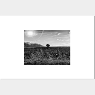 Lonely Barn  - Black And White Posters and Art